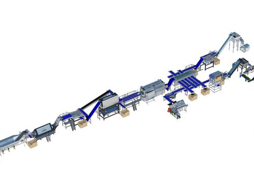Carrot processing line 500 series