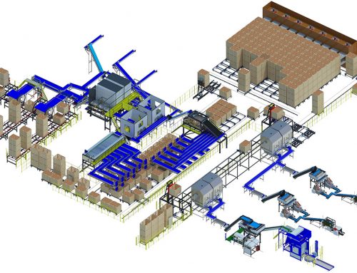 Onion processing line triple A3 series (1)